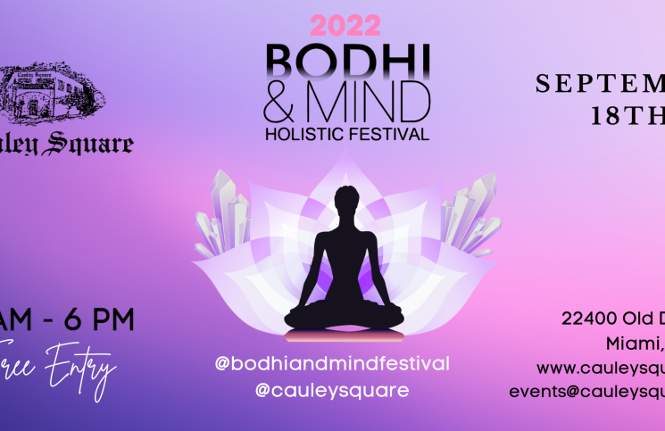 Bodhi & Mind Holistic Festival 22 at Cauley Square Village by Healing Arts
