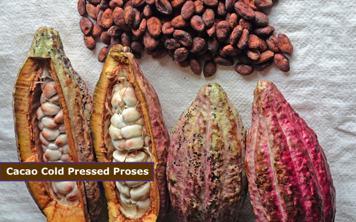 Cacao Cold Pressed Proses