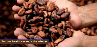 for our health cacao is the winner